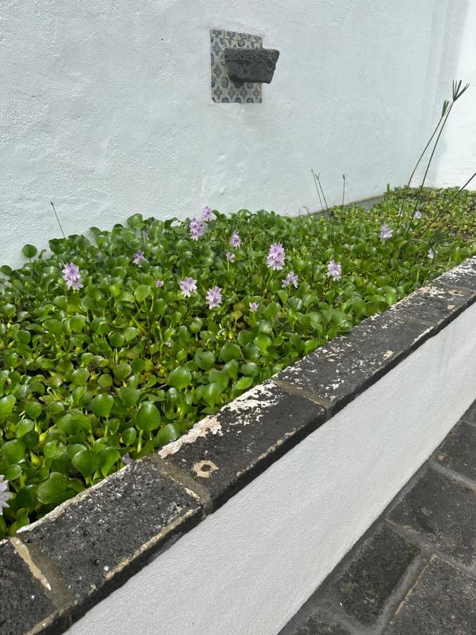 Solar Nossa Senhora Da Conceicao Villa Capelas Bagian luar foto