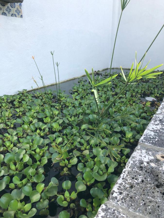 Solar Nossa Senhora Da Conceicao Villa Capelas Bagian luar foto